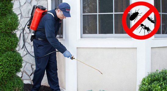 Altıevler Böcek İlaçlama böcek ilaçlama ve haşere kontrolü — ilaclama-tr.com